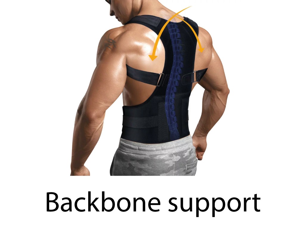Backbone-support