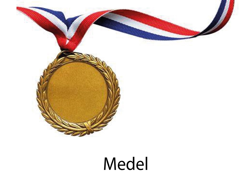 Medel